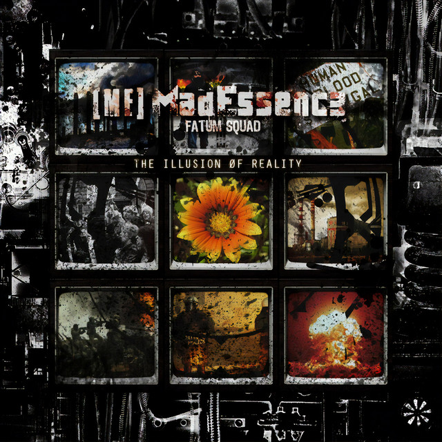 Обкладинка: Resonance — Mad Essence