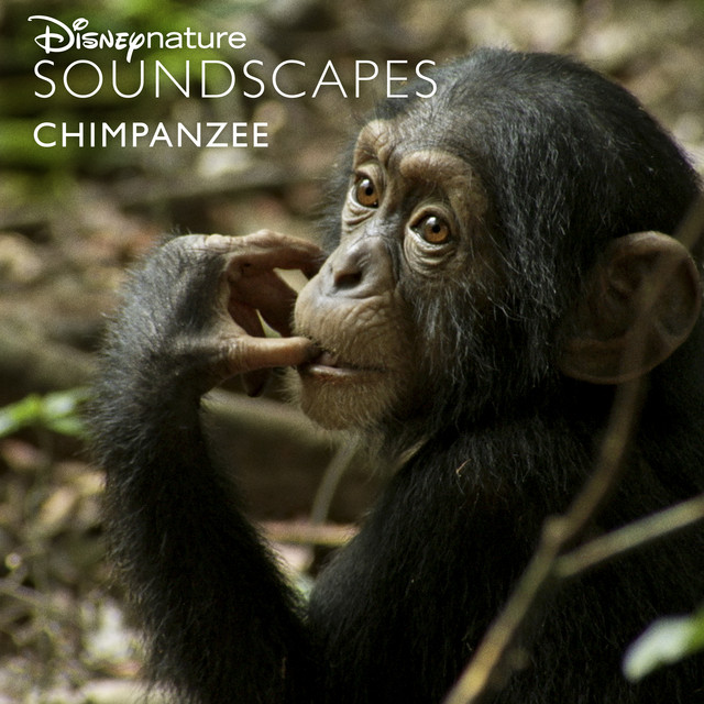 Disneynature Soundscapes