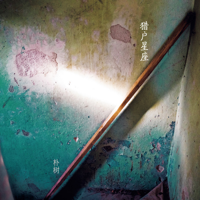 朴树 Photo