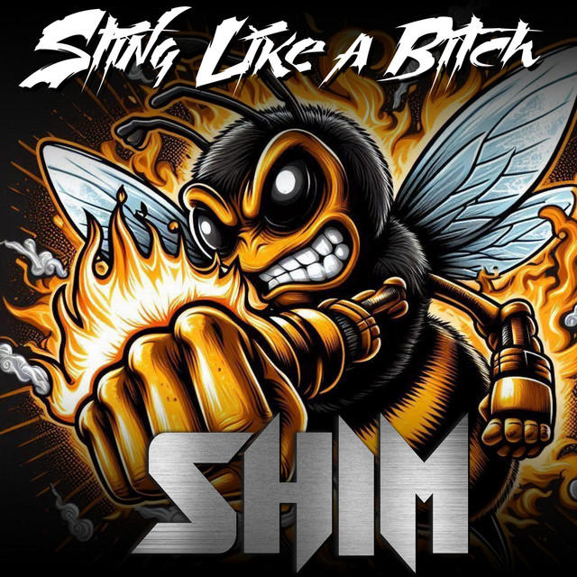 Sting like a bitch cover art