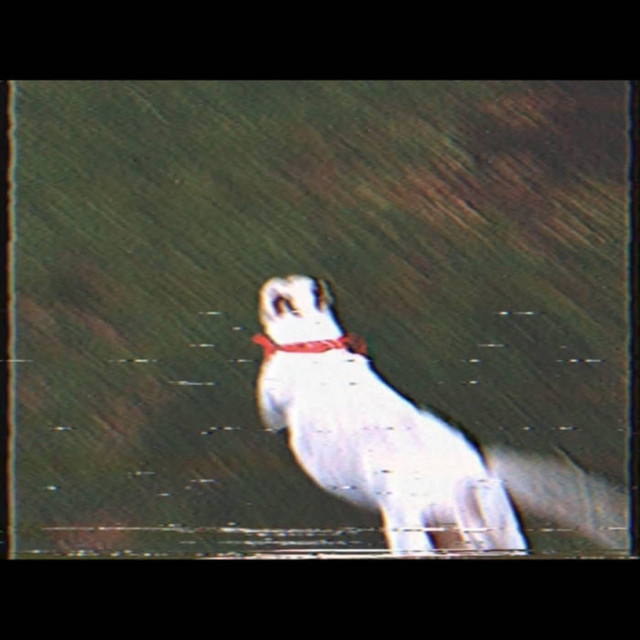 Stagnant, Vol 1 cover art