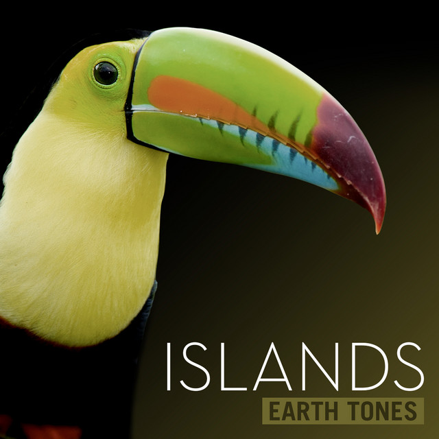 Earth Tones: Islands cover art