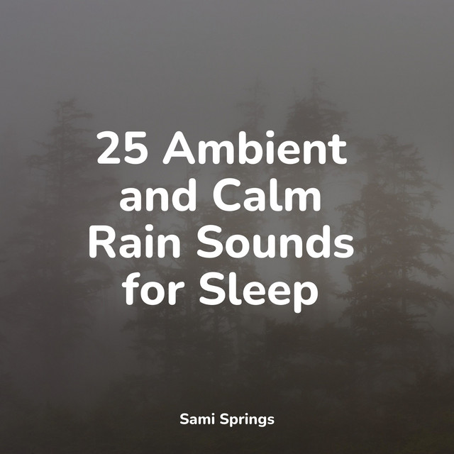25 Ambient and Calm Rain Sounds for Sleep - Album by Spa Relaxation ...