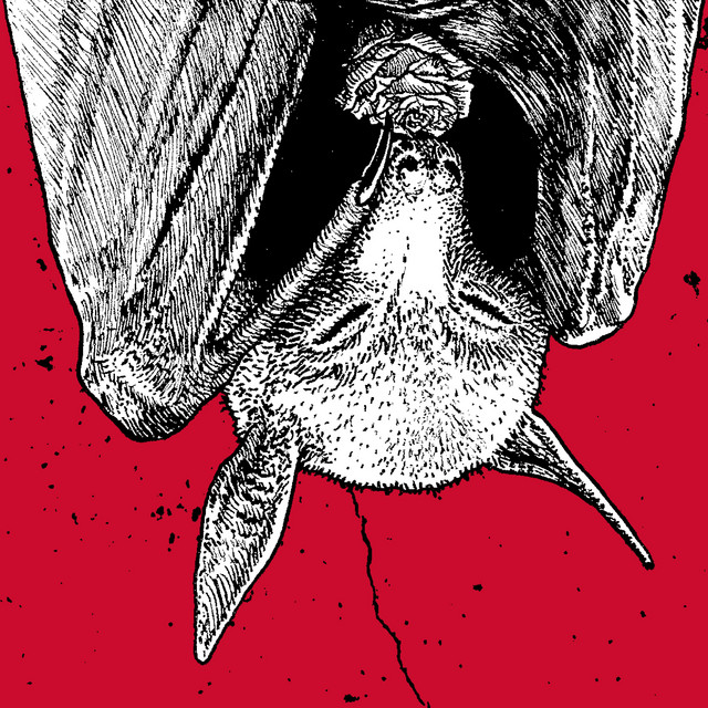 Náusea cover art
