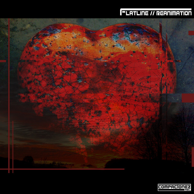 Reanimation cover art