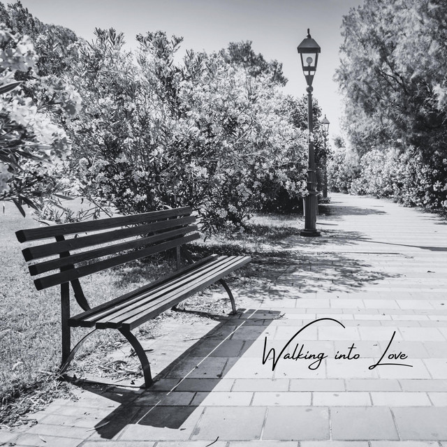 Nordic Swing image