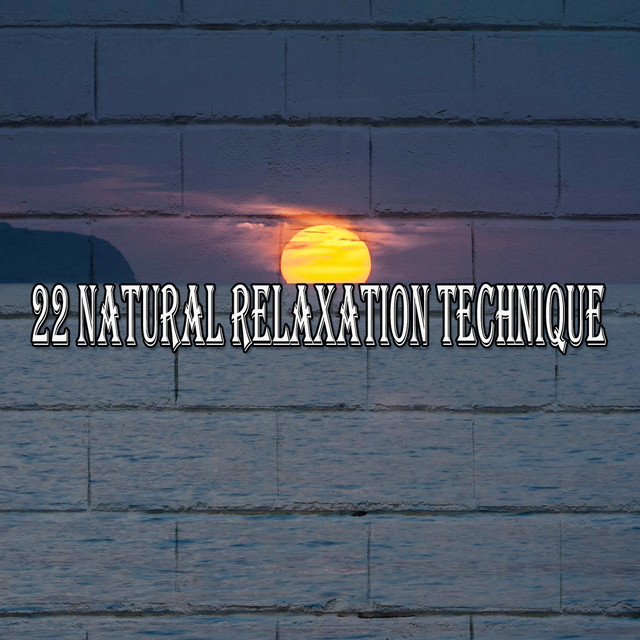 22 Natural Relaxation Technique - Album by Pro Sound Effects Library ...