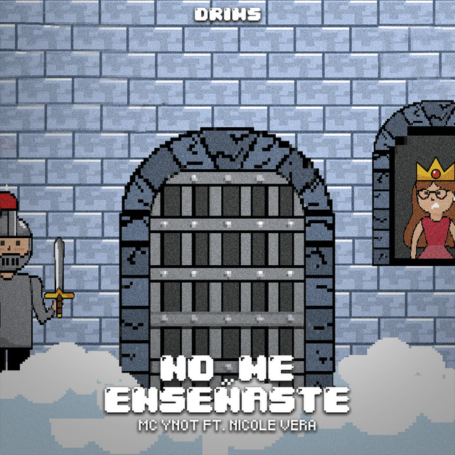 No Me Enseñaste