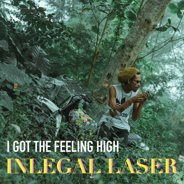 I got the feeling high cover art