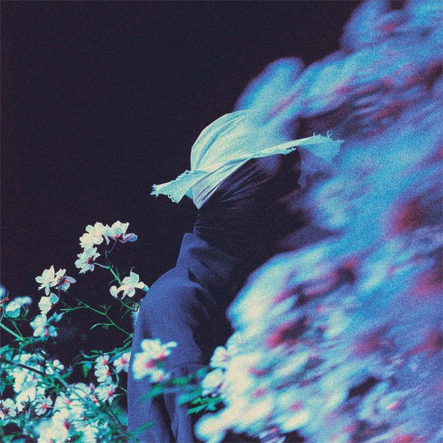 Seagulls cover art
