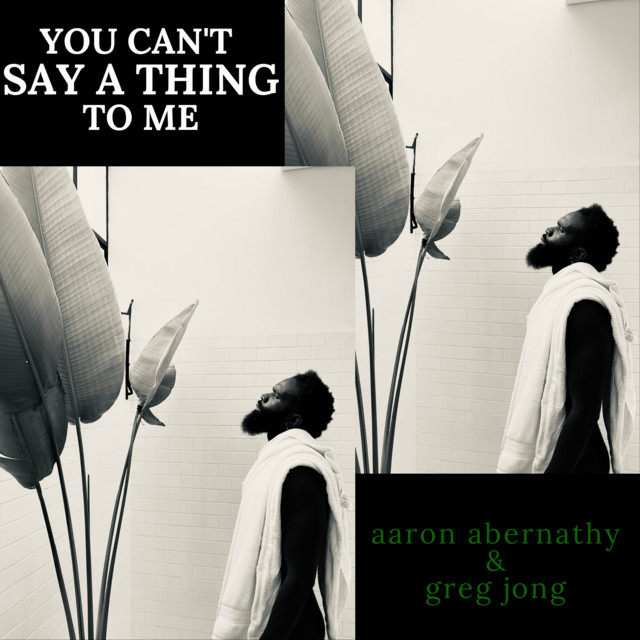 You Can't Say a Thing to Me cover
