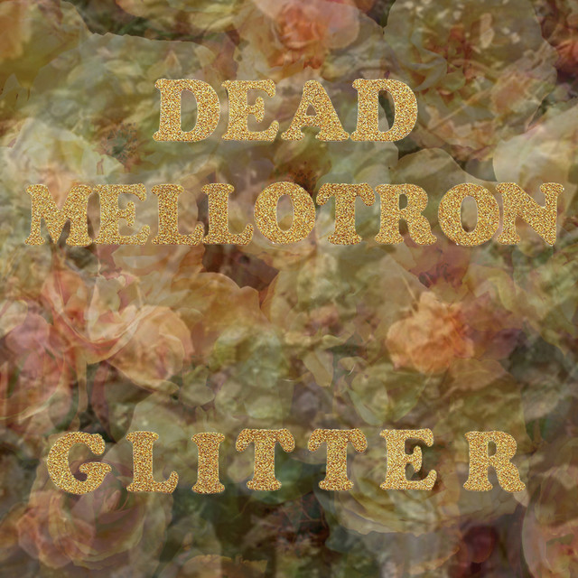 Dead Mellotron Photo