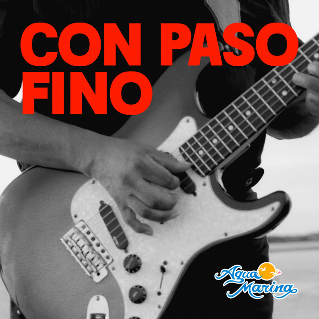 Con Paso Fino album image