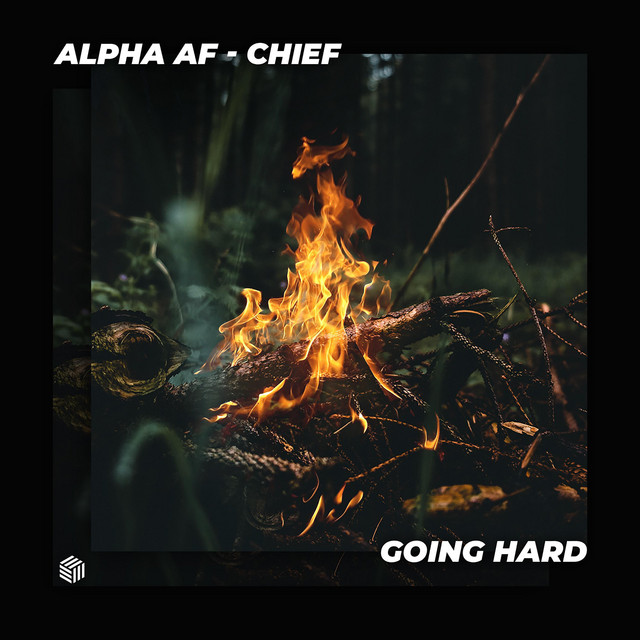 Chief cover art