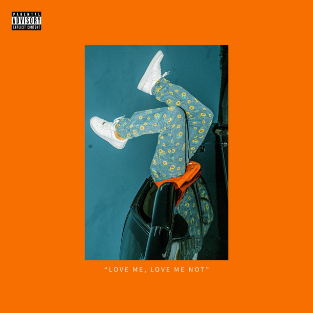 D.F.M. cover art