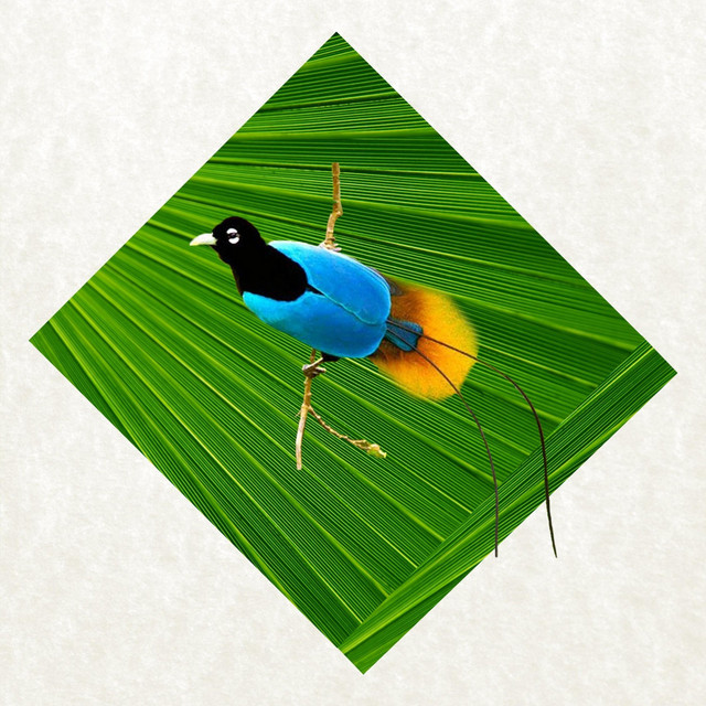 gardens cover art