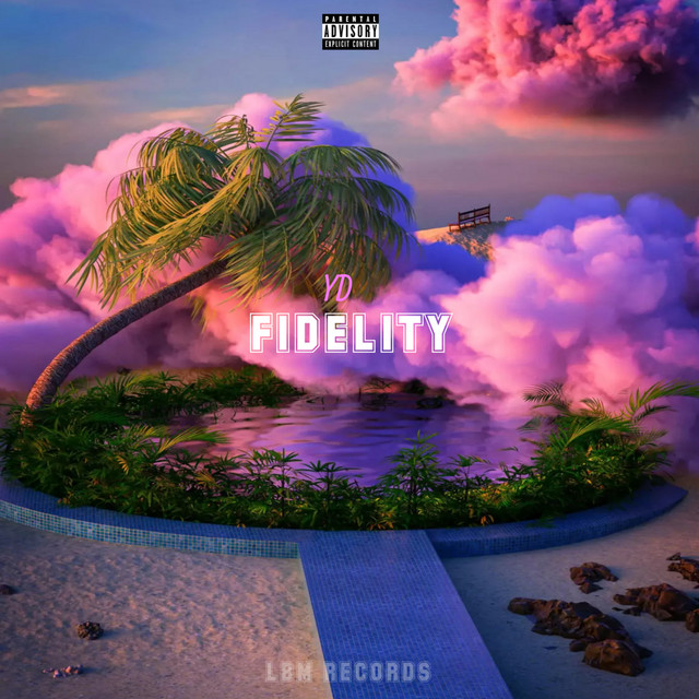 Fidelity cover art