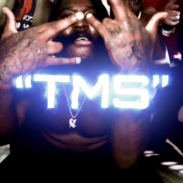 T.M.S. - Single by FlexpackFACE | Spotify