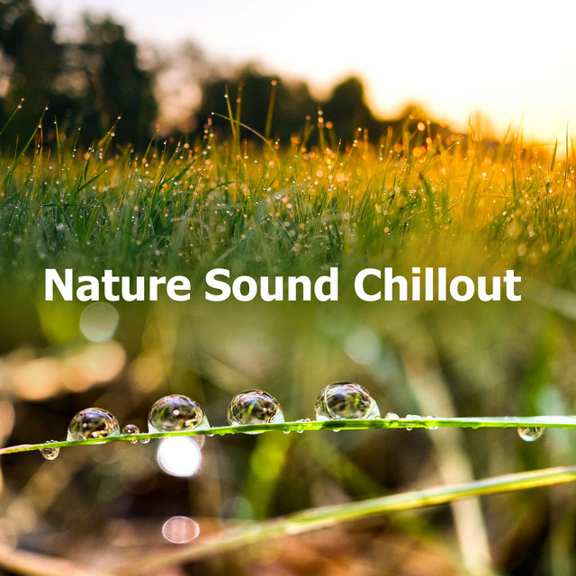 Nature Sound Chillout - Album by Soothing Nature Sounds | Spotify