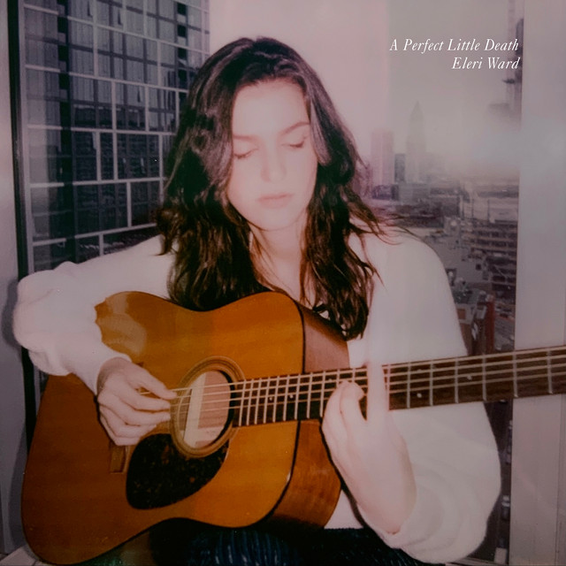 A Perfect Little Death cover art