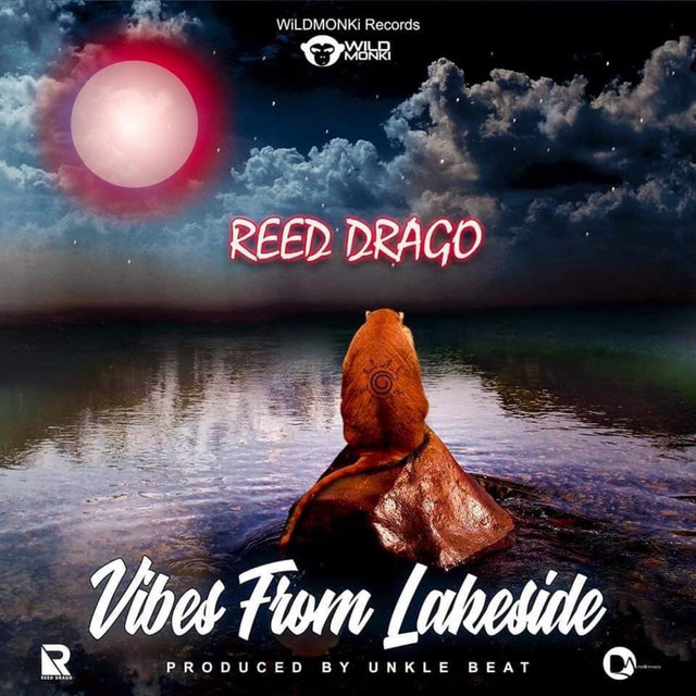 The Plaque cover art