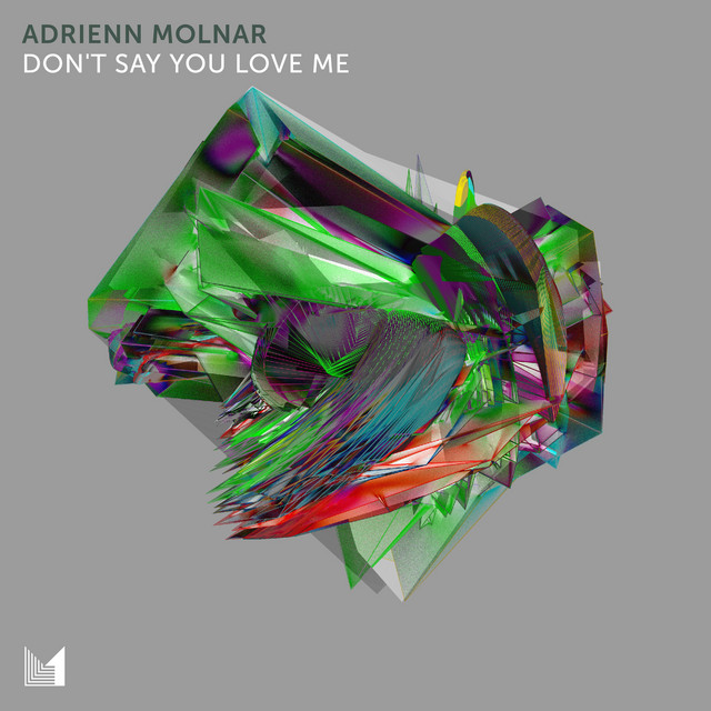 Обкладинка: Don't Say You Love Me — Adrienn Molnar
