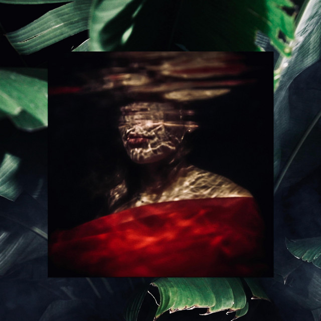 Flash cover art