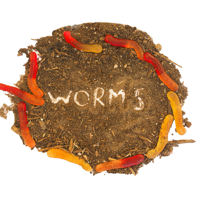 Worms cover art