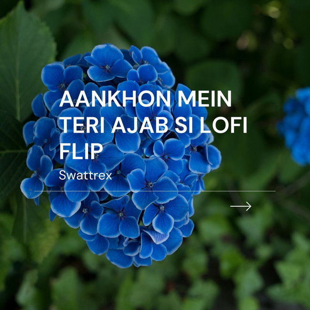 Aankhon Mein Teri Ajab Si (Lofi Flip)