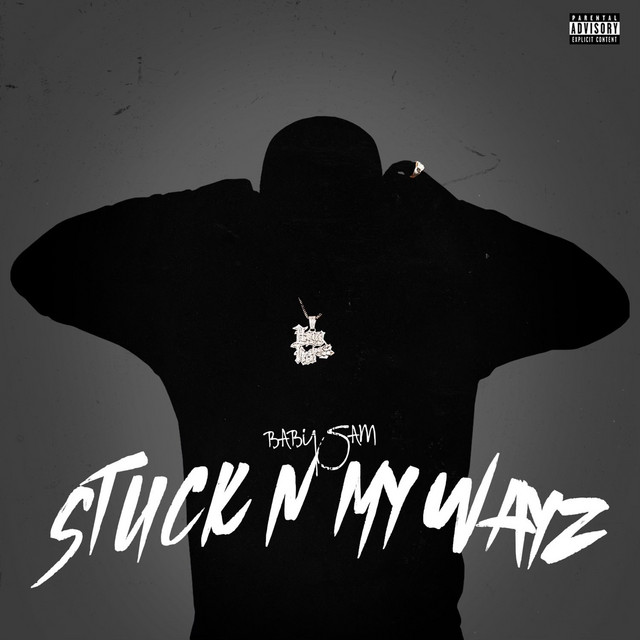 Stuck N My Wayz cover art