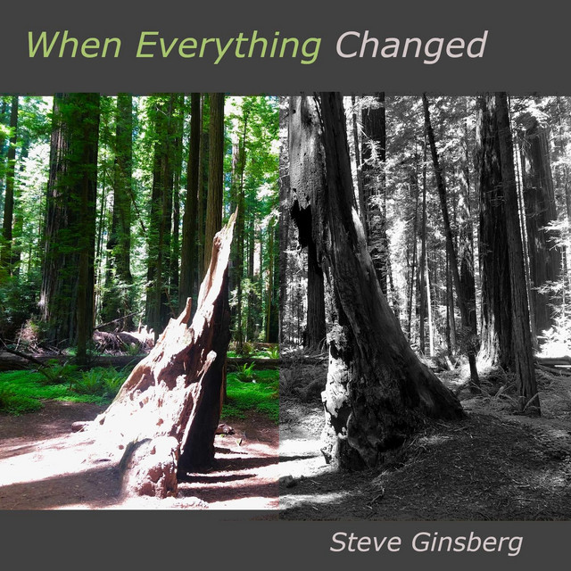When Everything Changed Album By Steve Ginsberg Spotify