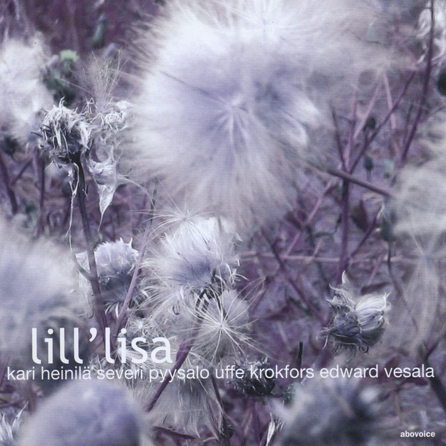 Lill' Lisa cover art