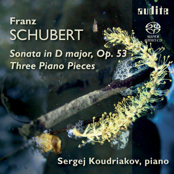 Franz Schubert: Piano Sonata D 850 & Three Piano Pieces D 946