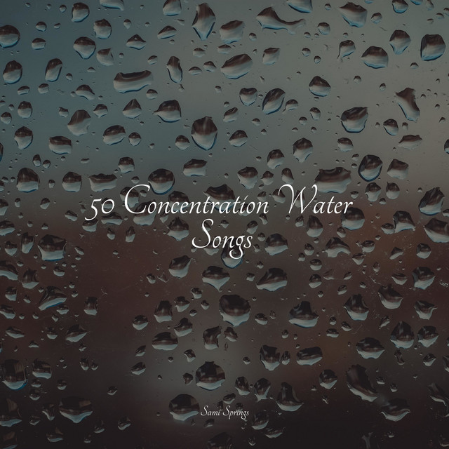 50 Sounds of Rain and Nature for Sleep - Album by Tranquil Music Sound ...