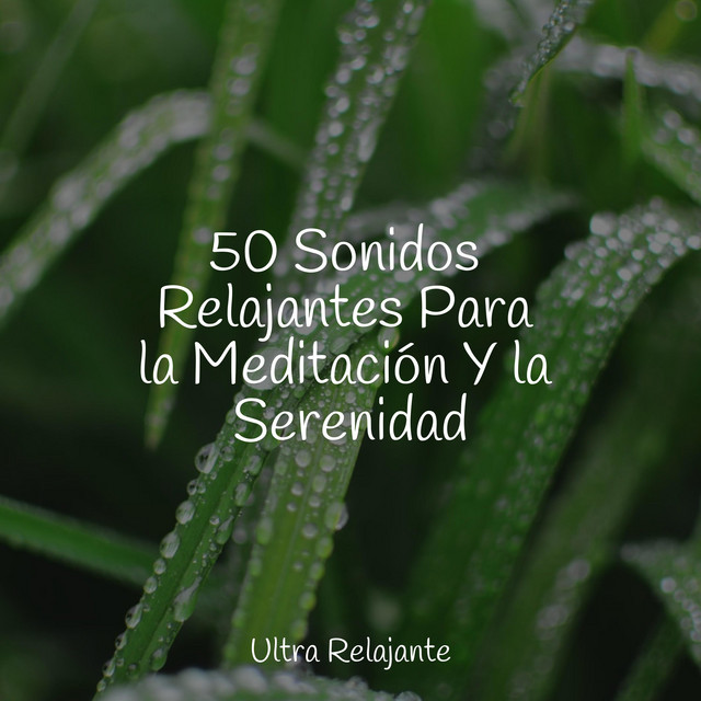 50 Sonidos Relajantes Para la Meditación Y la Serenidad cover art