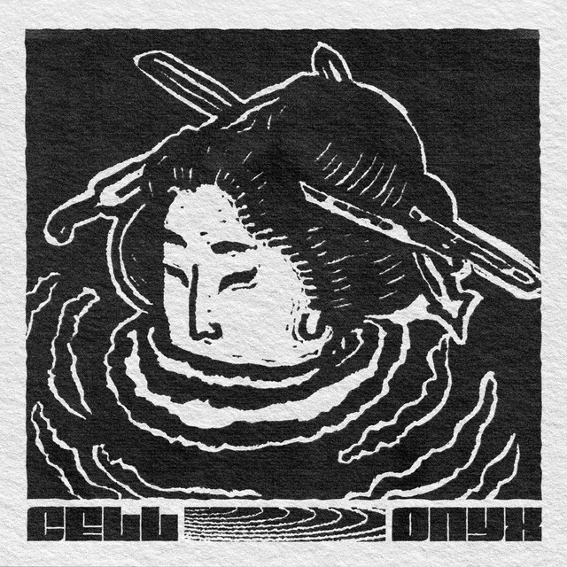 Onyx cover art