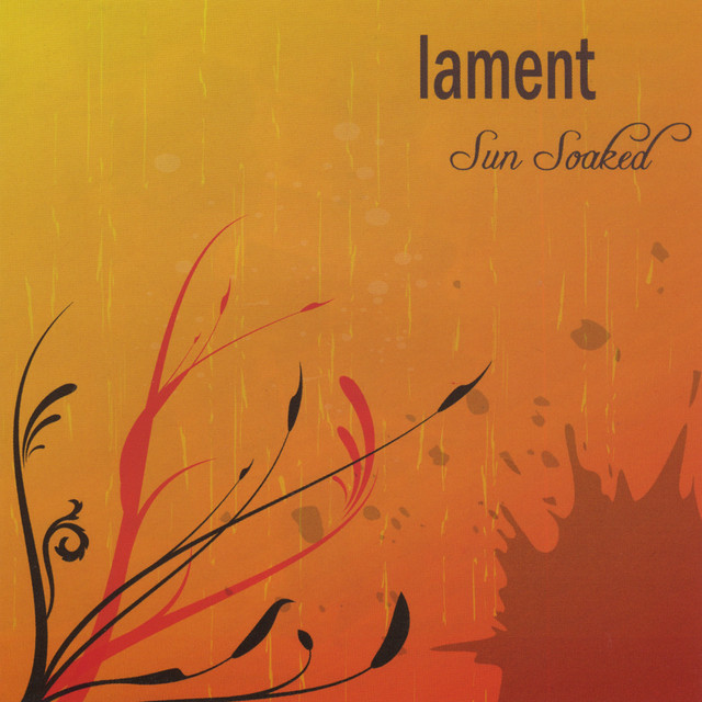 Sun Soaked cover art