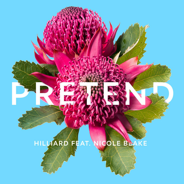 Pretend cover art