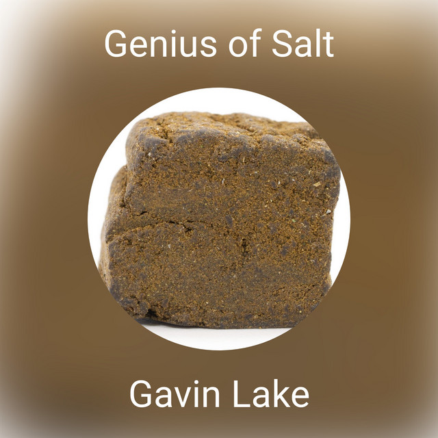Genius of Salt - Album by Gavin Lake | Spotify