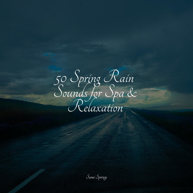 50 Spring Rain Sounds for Spa & Relaxation - Album by Rain Sounds XLE ...