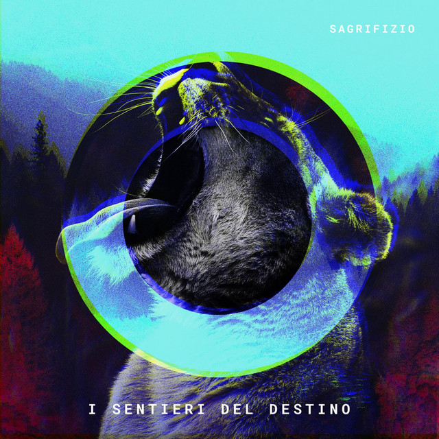 I Sentieri Del Destino cover art