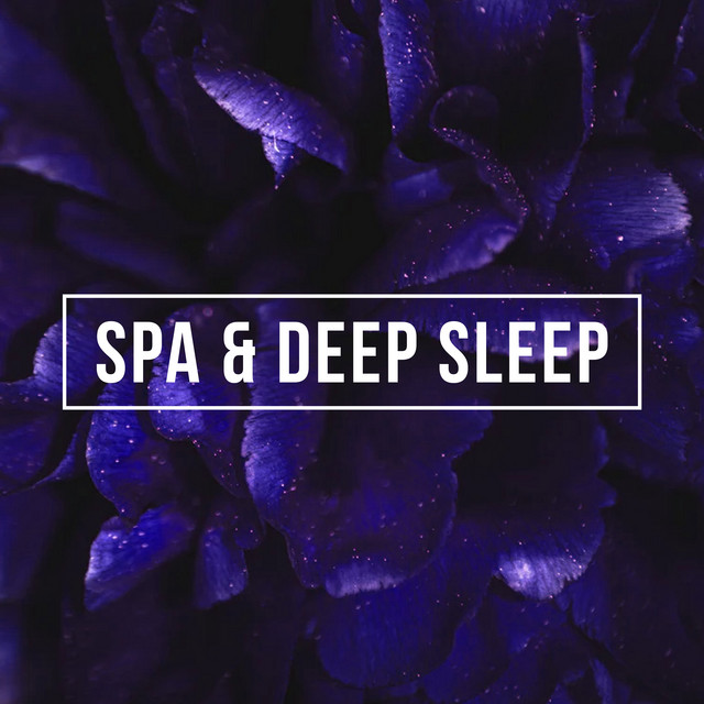 Spa & Deep Sleep ! ! ! - Album by Spa & Spa | Spotify