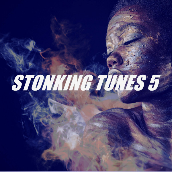 STONKING TUNES 5 cover art