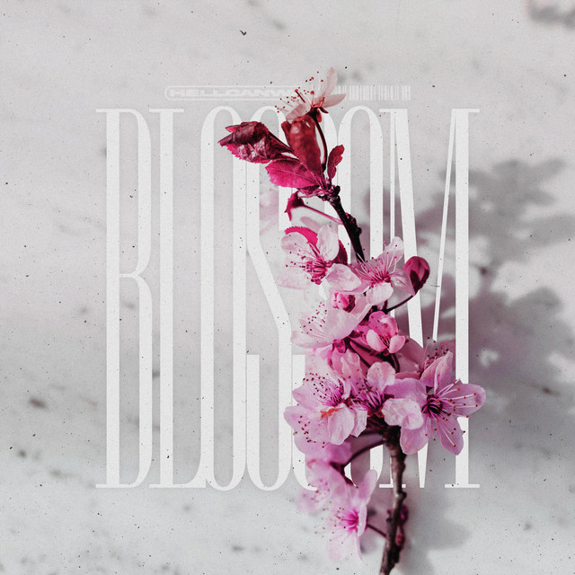 Blossom cover art