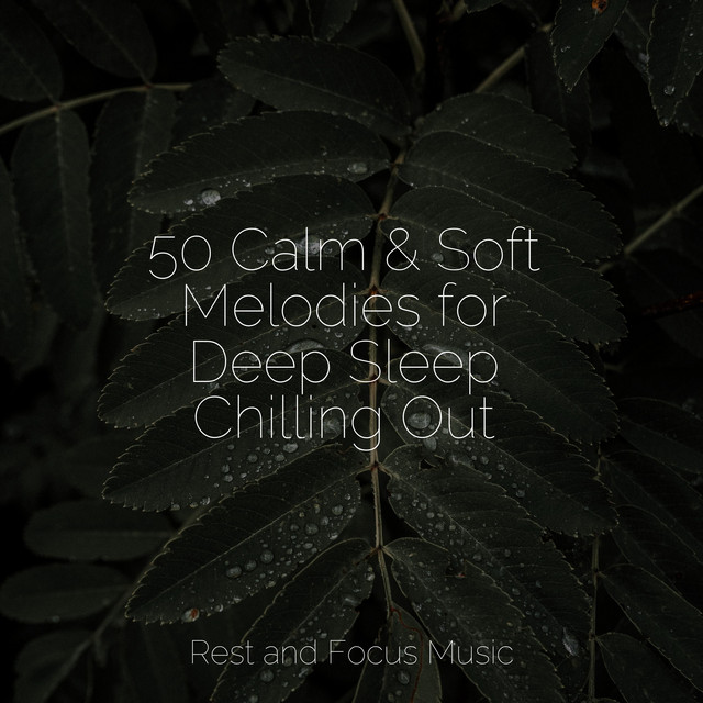 50 Calm & Soft Melodies for Deep Sleep Chilling Out - Album by Spa ...