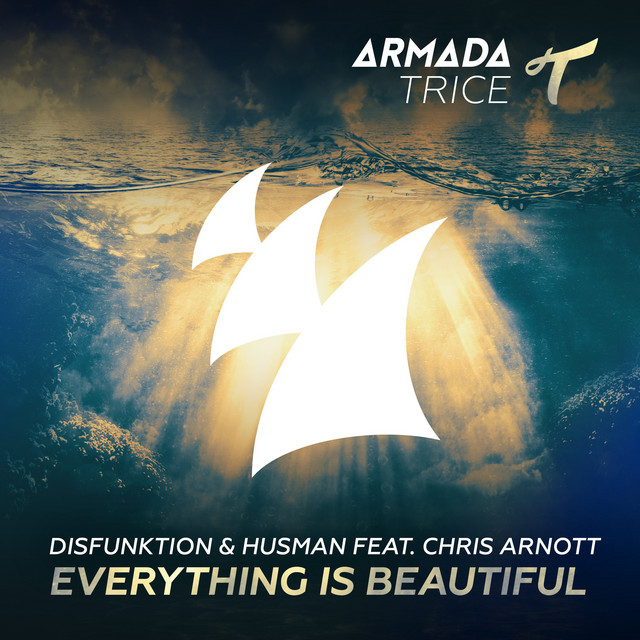 Everything Is Beautiful feat. Chris Arnott - Extended Mix album art