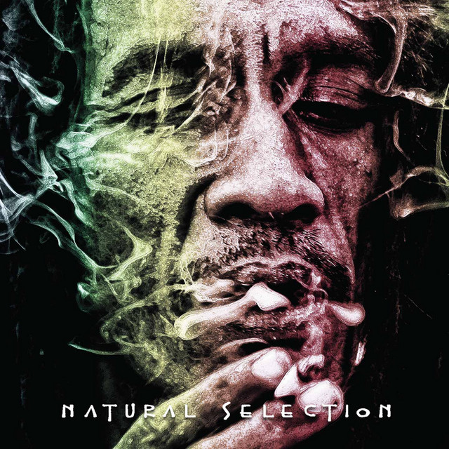 Natural Selection cover art