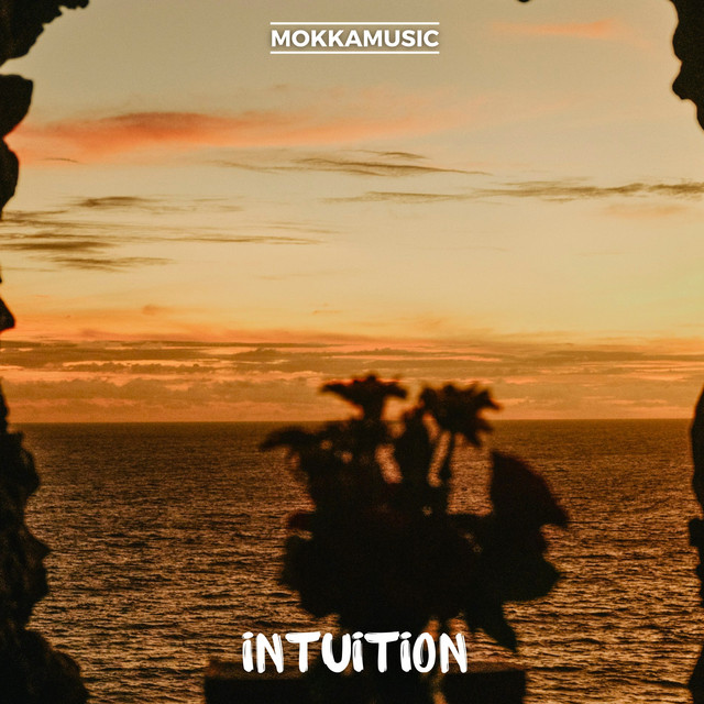 Intuition album image