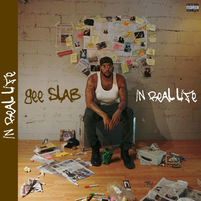 In Real Life cover art