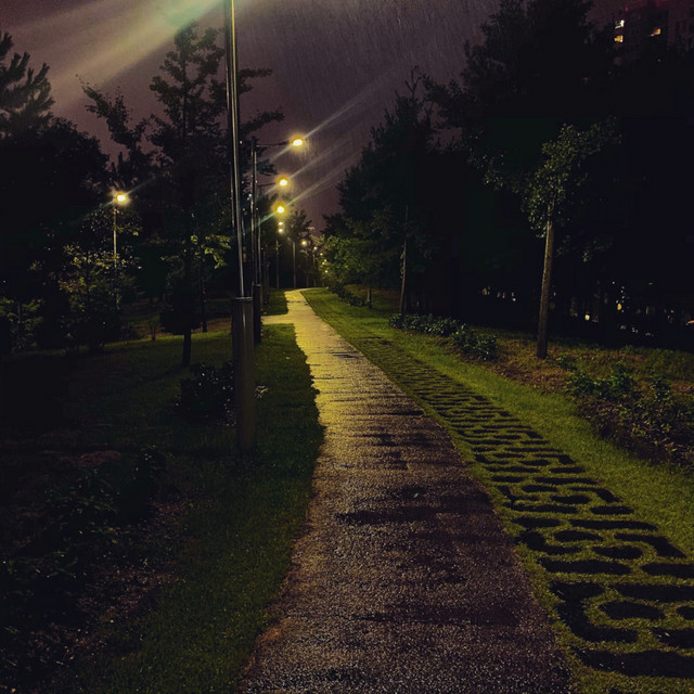 Rain and the Orchestra cover art